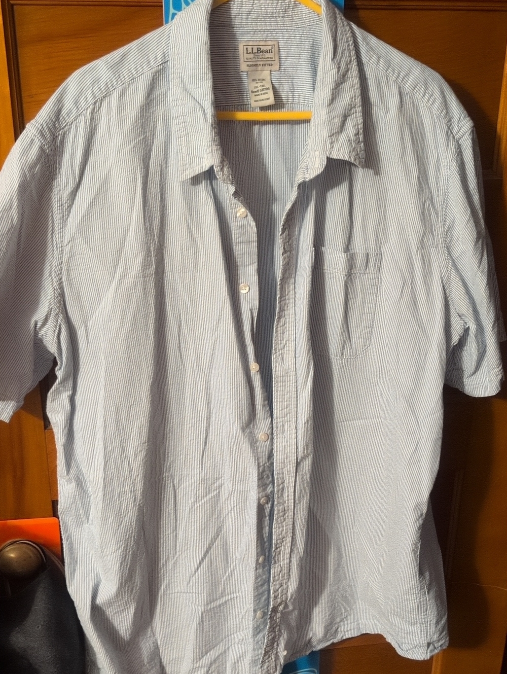 L.L. Bean Light Blue Striped Short-Sleeve Button-Up Shirt